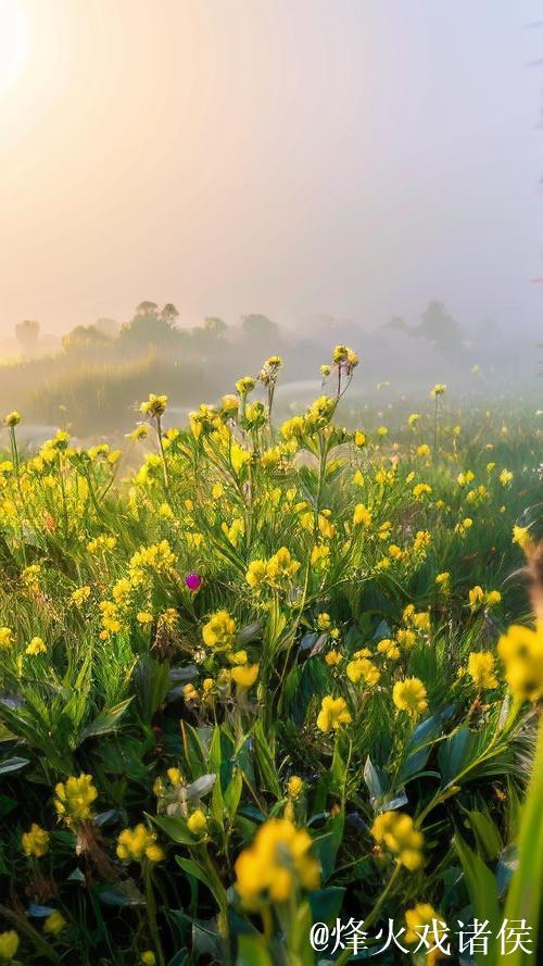 青青青草的诗意绽放 青青青草的诗意绽放
